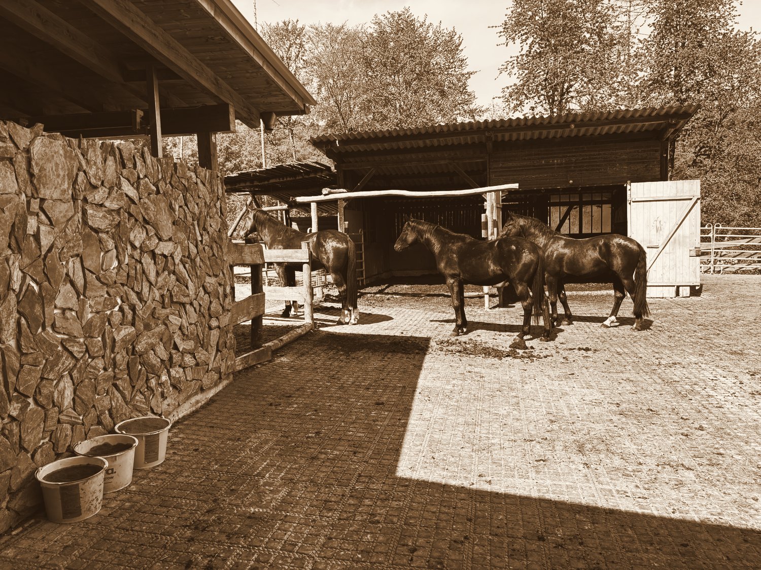 Stallungen am Kryxenberghof