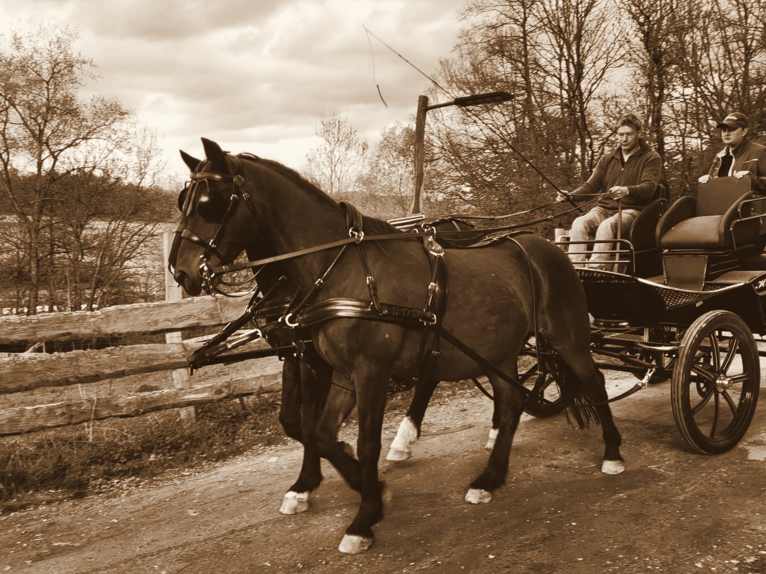 Pferd vor der Kutsche — gefahrene Tradition